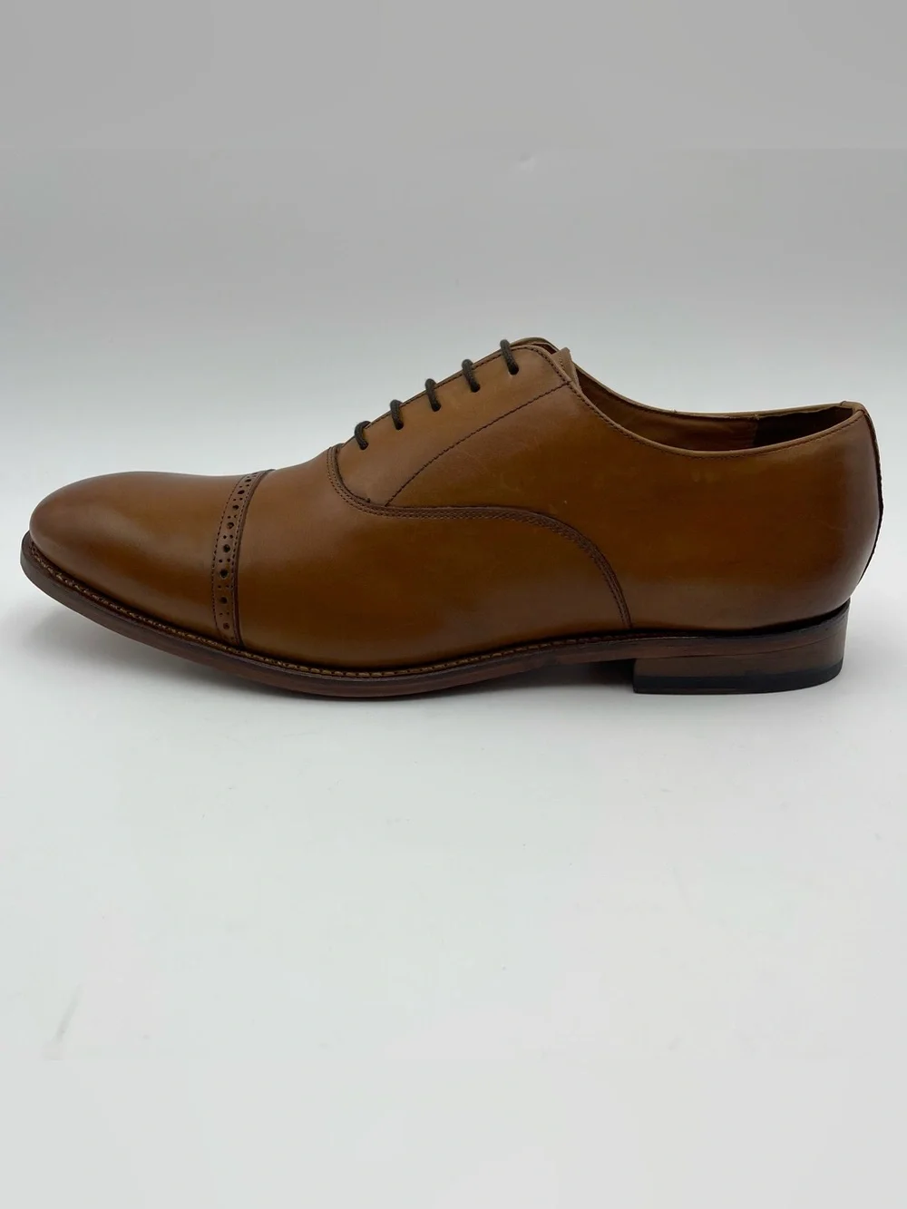 ALLEN EDMONDS SZ 14D Brady Walnut Leather Cap Toe Oxfords Shoes MSRP $450